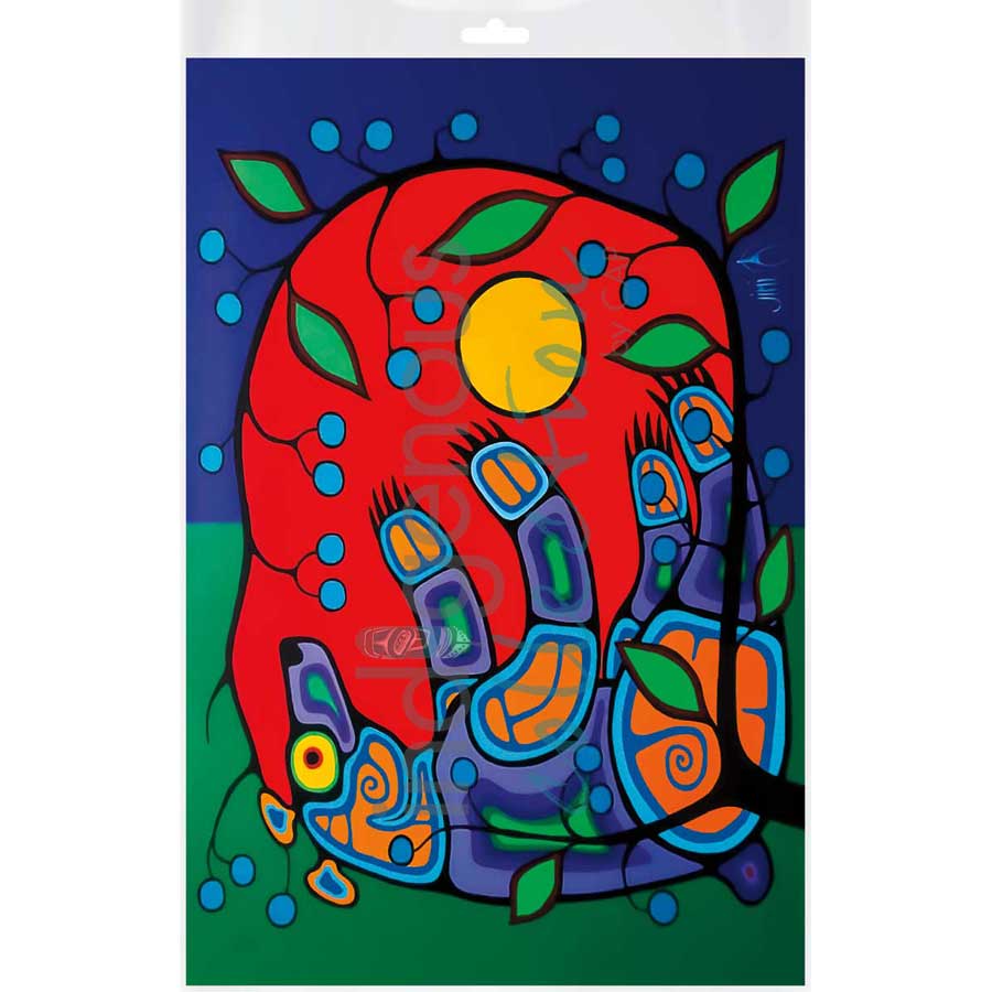 Summer Bear by artist Jim Oskineegish - Ojibway. Indigenous Collection