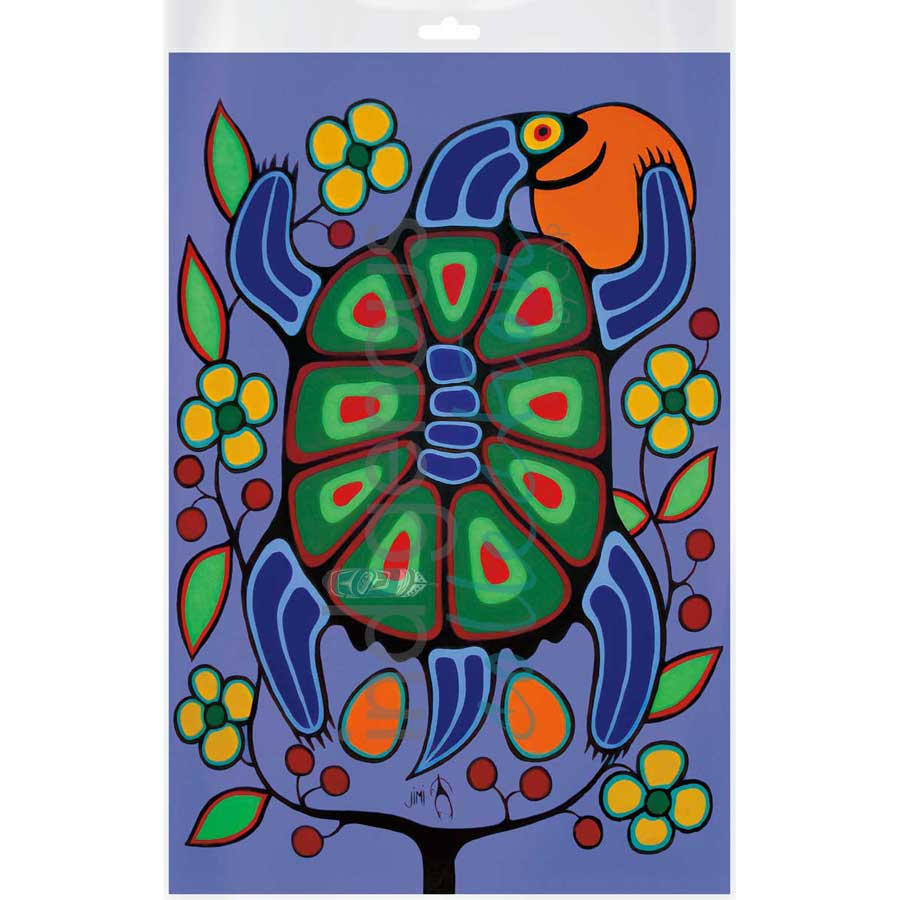 Turtle Mother by artist Jim Oskineegish - Ojibway. Indigenous Collection