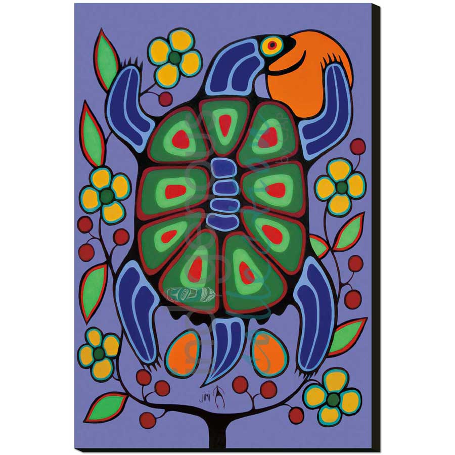 Turtle Mother by artist Jim Oskineegish - Ojibway. Indigenous Collection