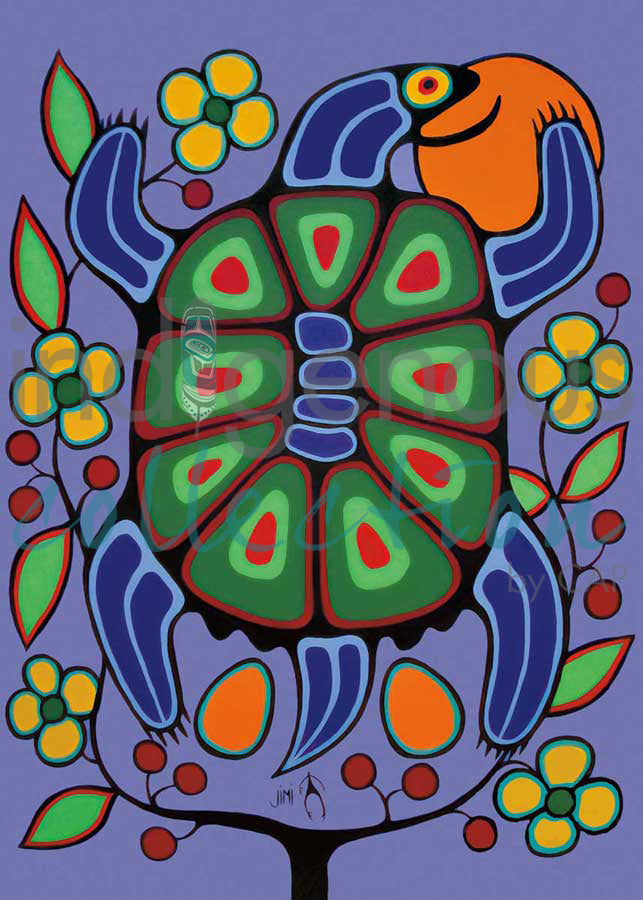 Turtle Mother by artist Jim Oskineegish