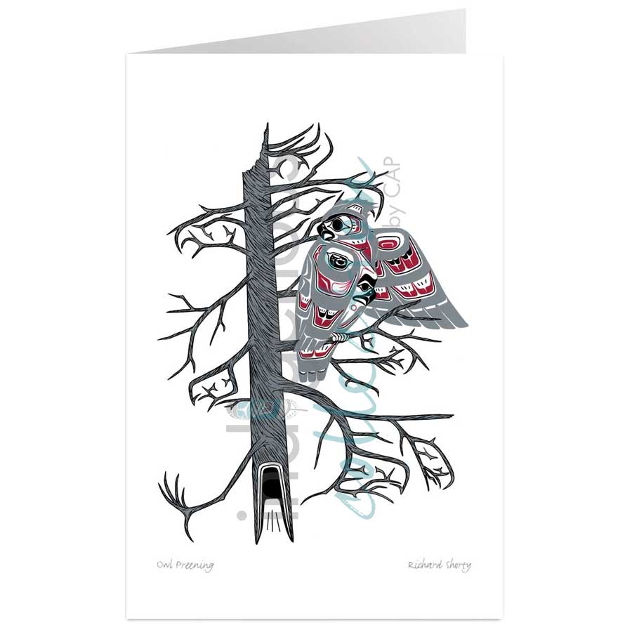 Owl Preening by artist Richard Shorty