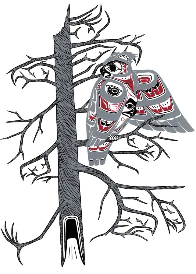 Owl Preening