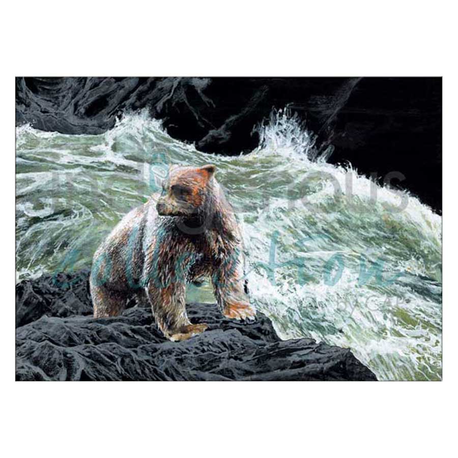 Spirit Bear Canvas Prints