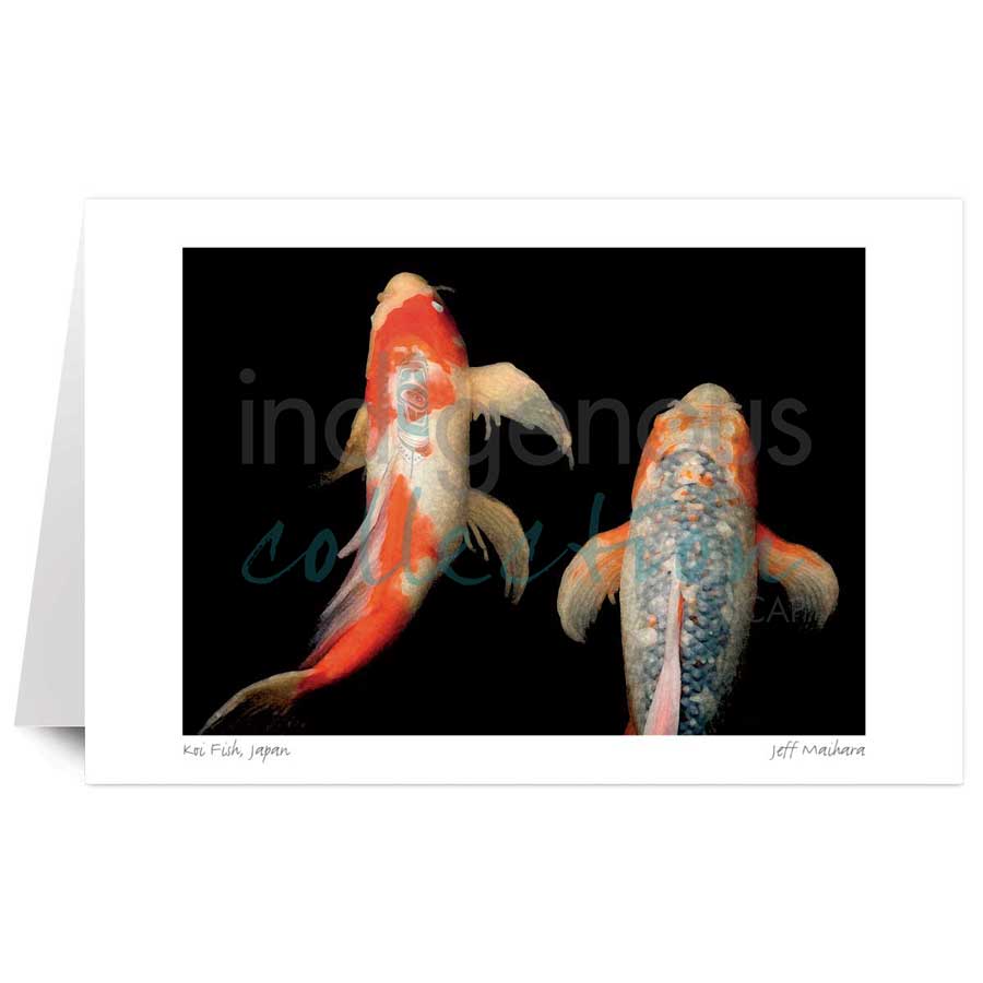 Koi Fish, Japan by artist Jeff Maihara