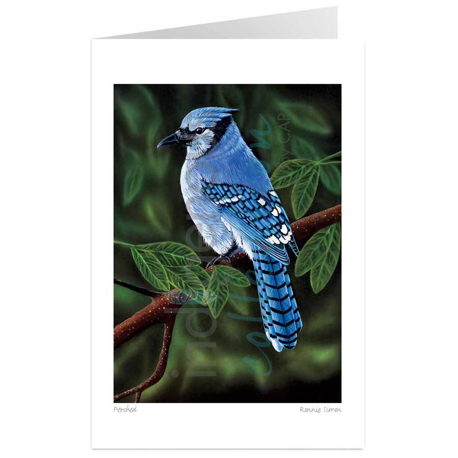 Perched by artist Ronnie Simon