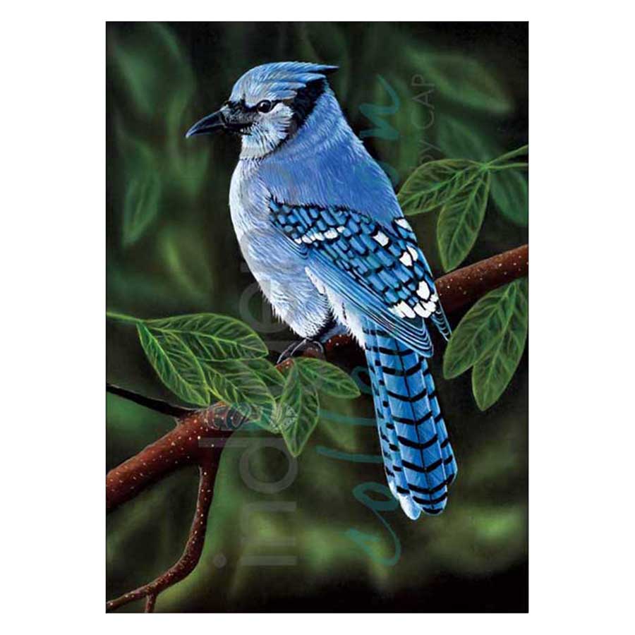 Perched Canvas Prints