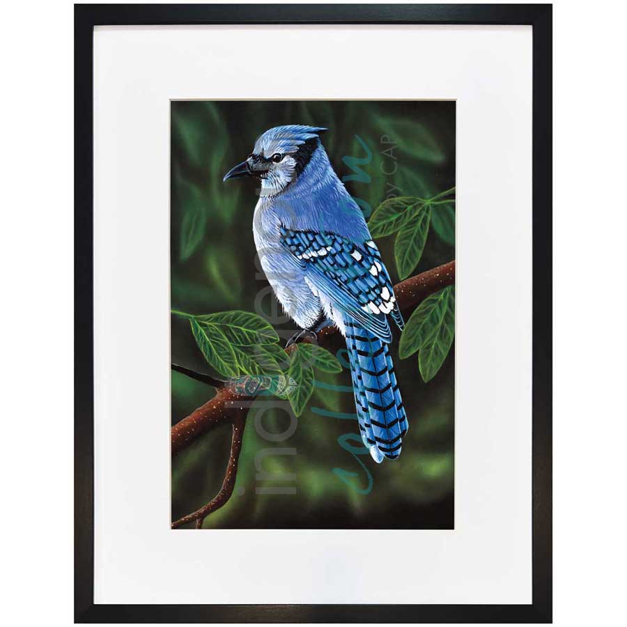 Perched by artist Ronnie Simon - Gwich'in. Indigenous Collection