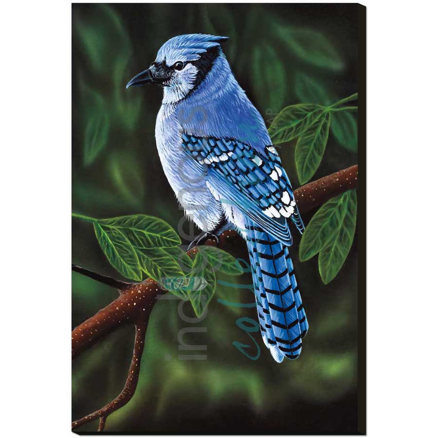Perched by artist Ronnie Simon - Gwich'in. Indigenous Collection