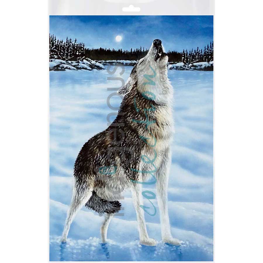 Night Bellow by artist Ronnie Simon - Gwich'in. Indigenous Collection