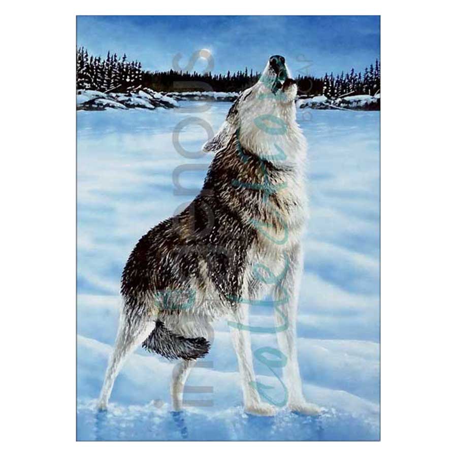 Night Bellow Canvas Prints