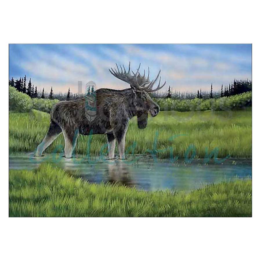Reflective Waters Canvas Prints