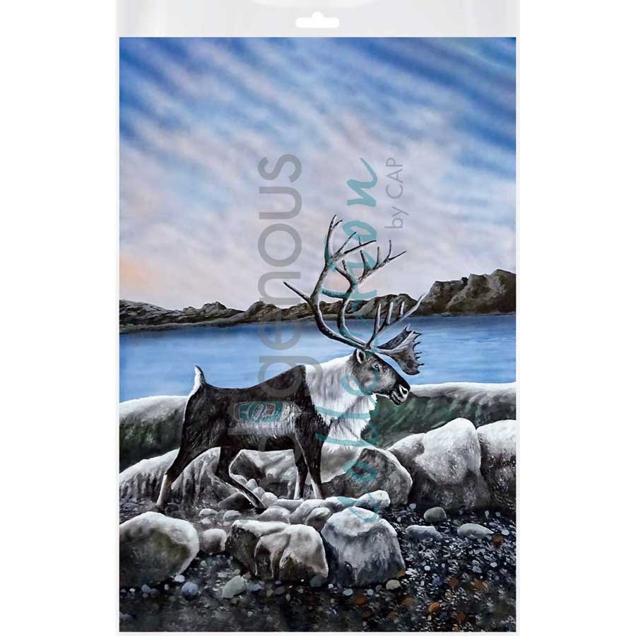 Walk on the Beach by artist Ronnie Simon - Gwich'in. Indigenous Collection