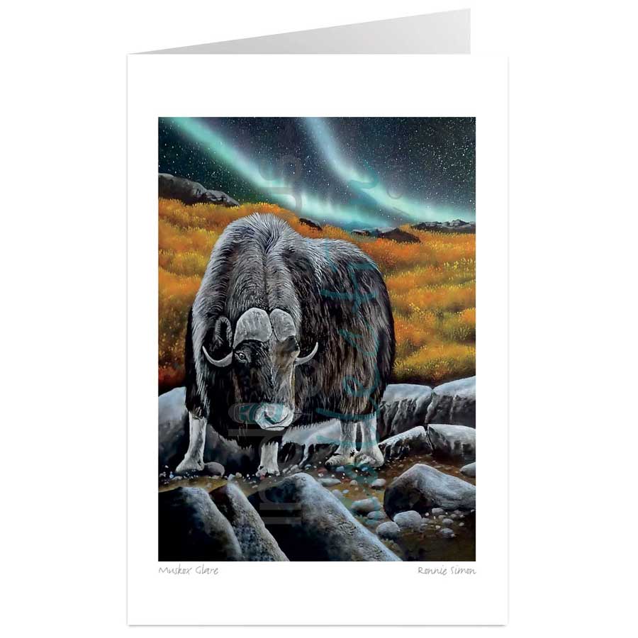 Muskox Glare by artist Ronnie Simon