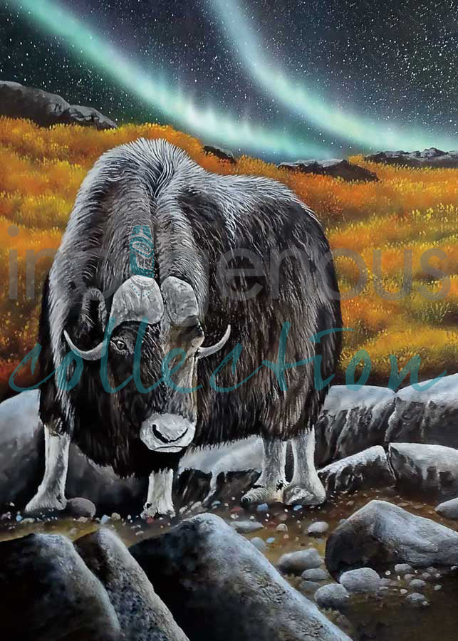Muskox Glare by artist Ronnie Simon