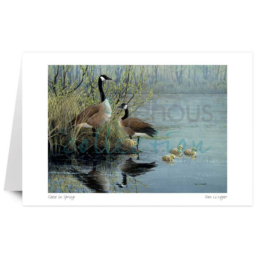 Geese in Spring by artist Don Li-Leger