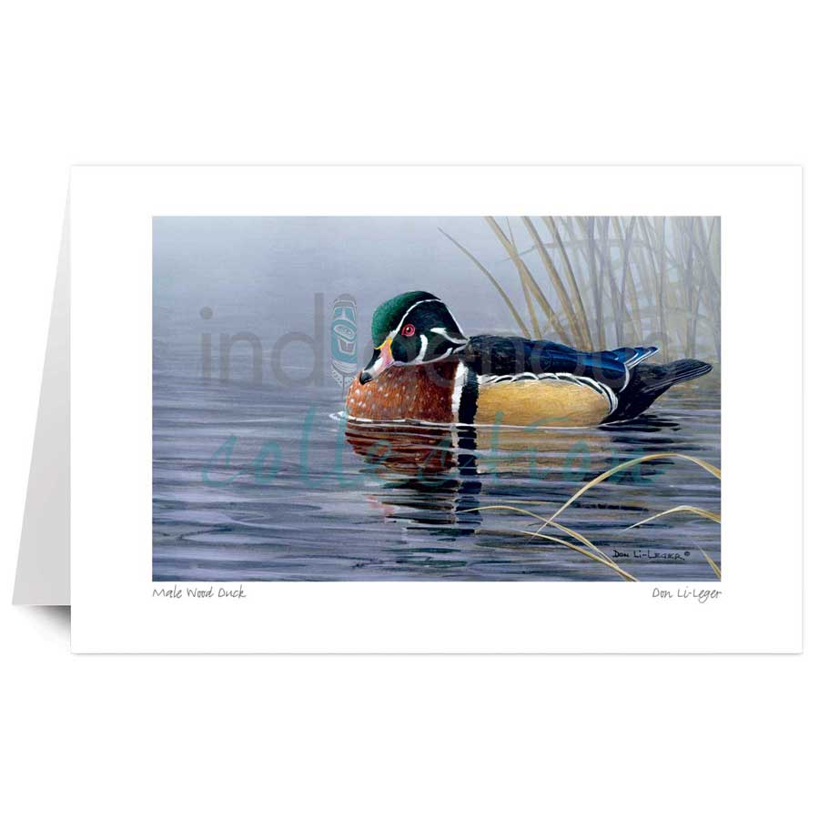 Male Wood Duck by artist Don Li-Leger