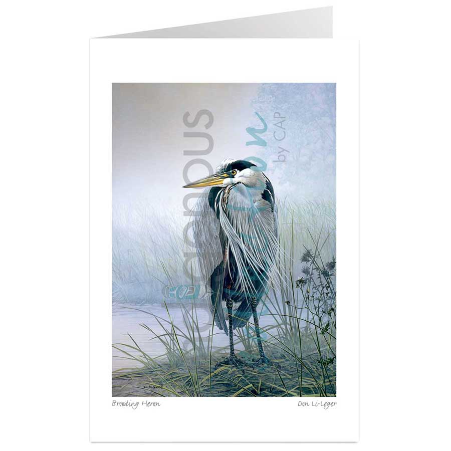 Brooding Heron by artist Don Li-Leger