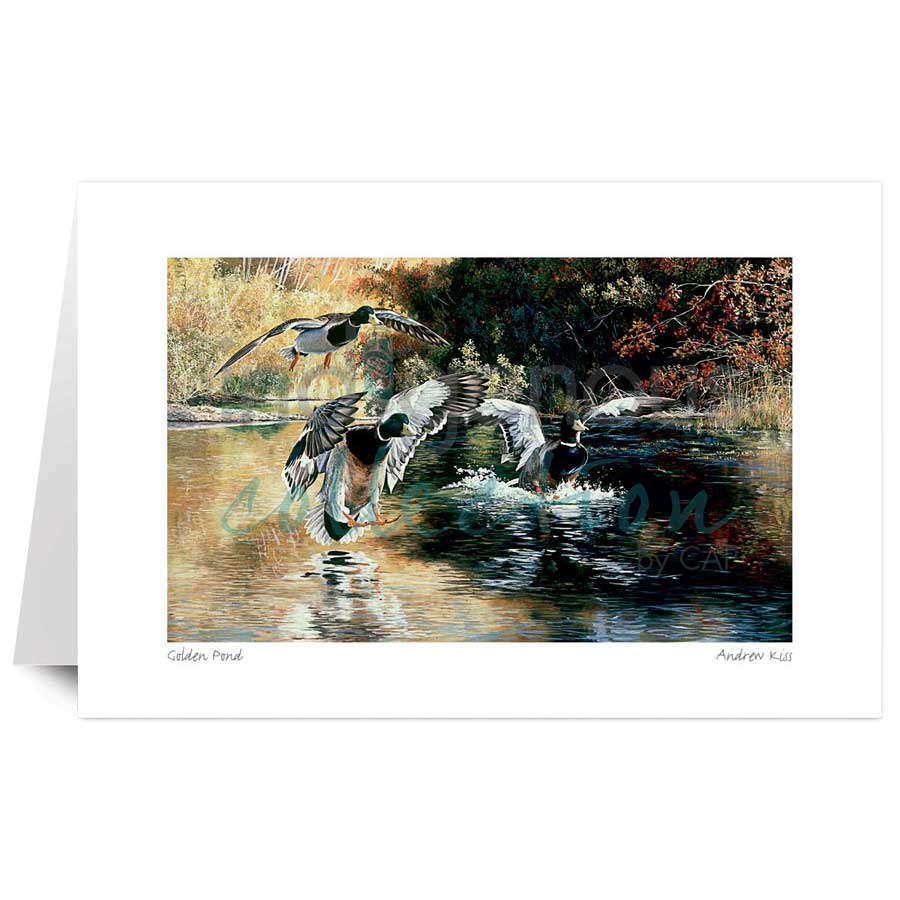 Golden Pond by artist Andrew Kiss