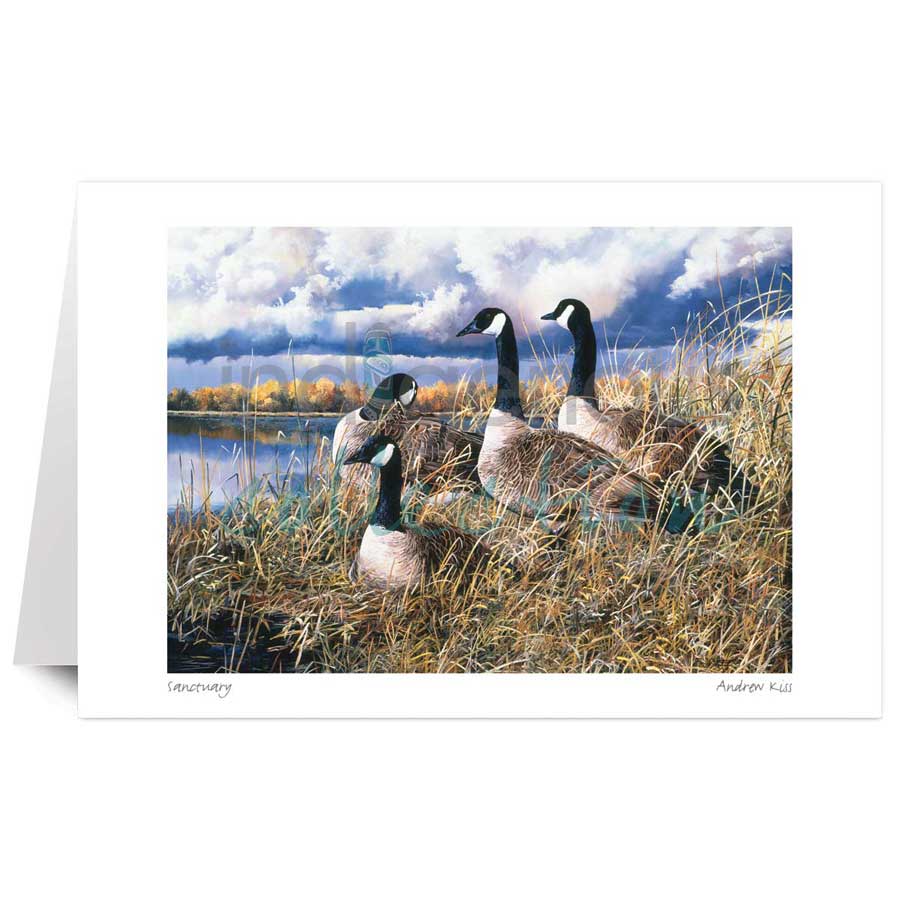 Sanctuary by artist Andrew Kiss