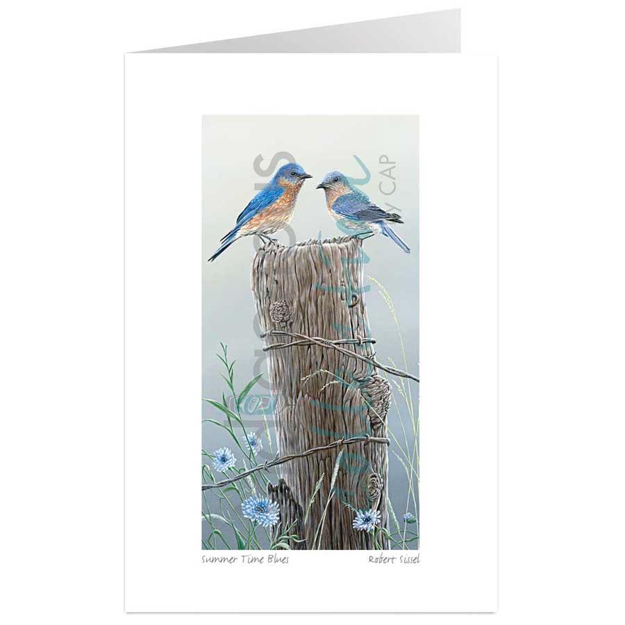 Summer Time Blues by artist Robert Sissel