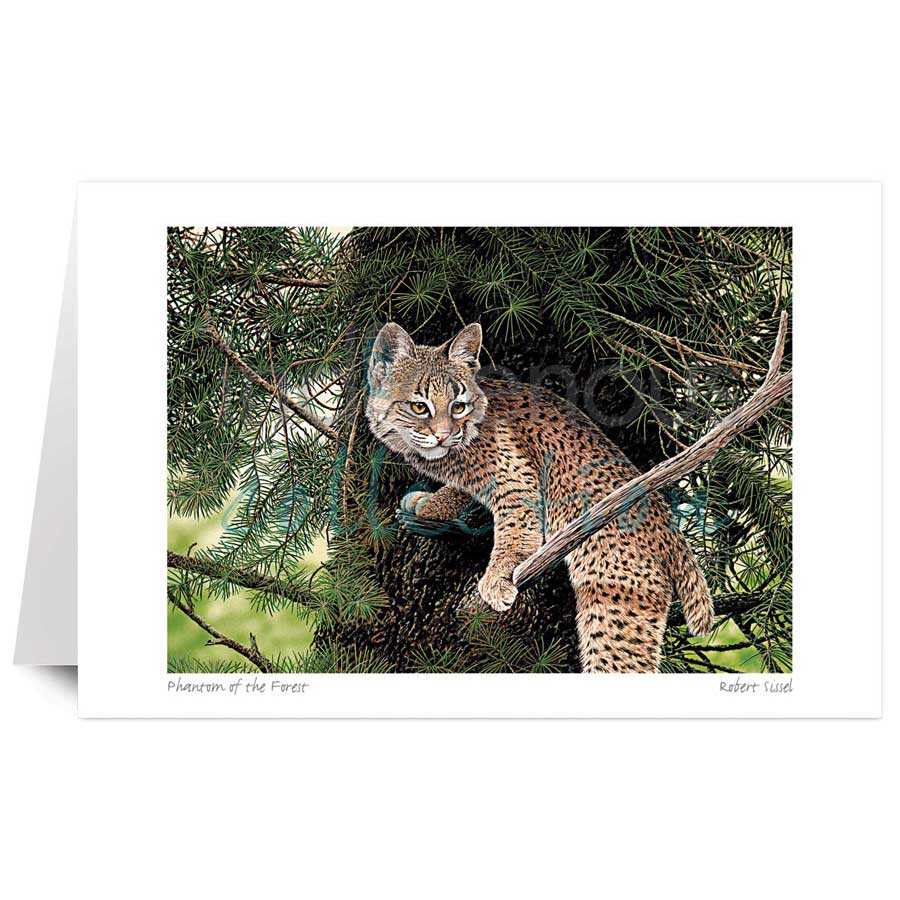 Phantom of the Forest by artist Robert Sissel