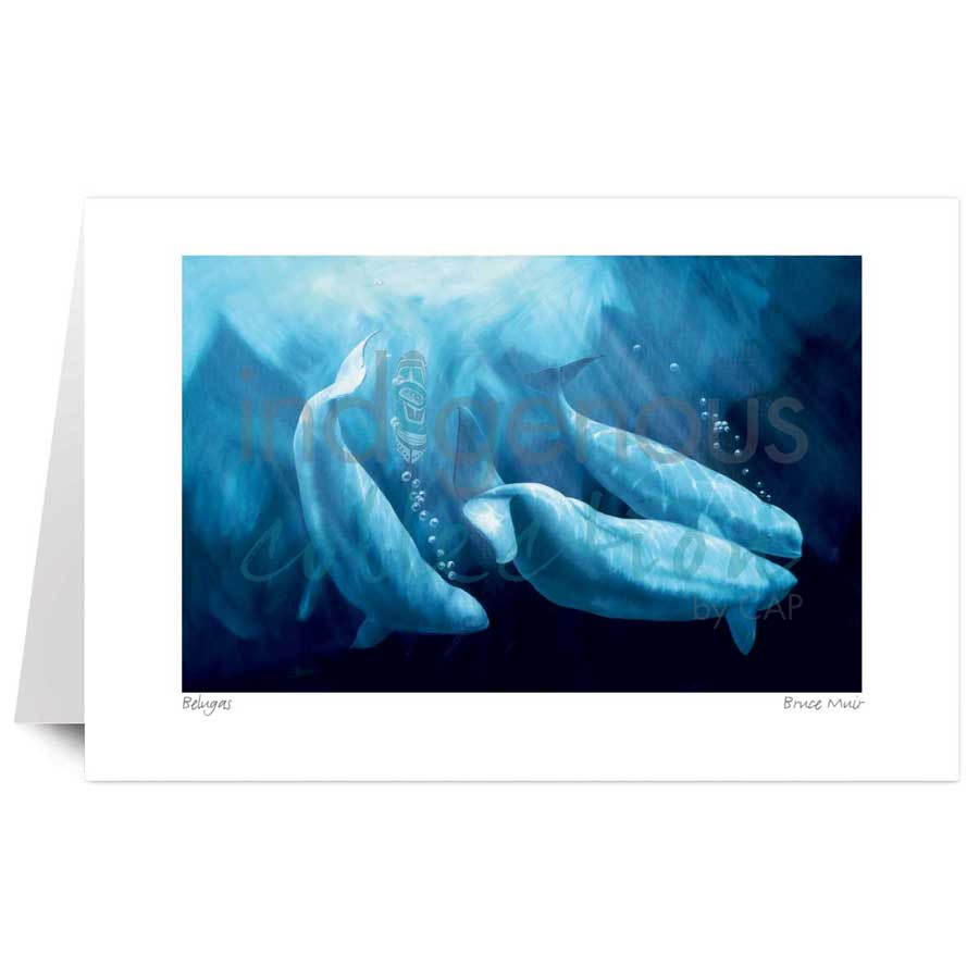 Belugas by artist Bruce Muir
