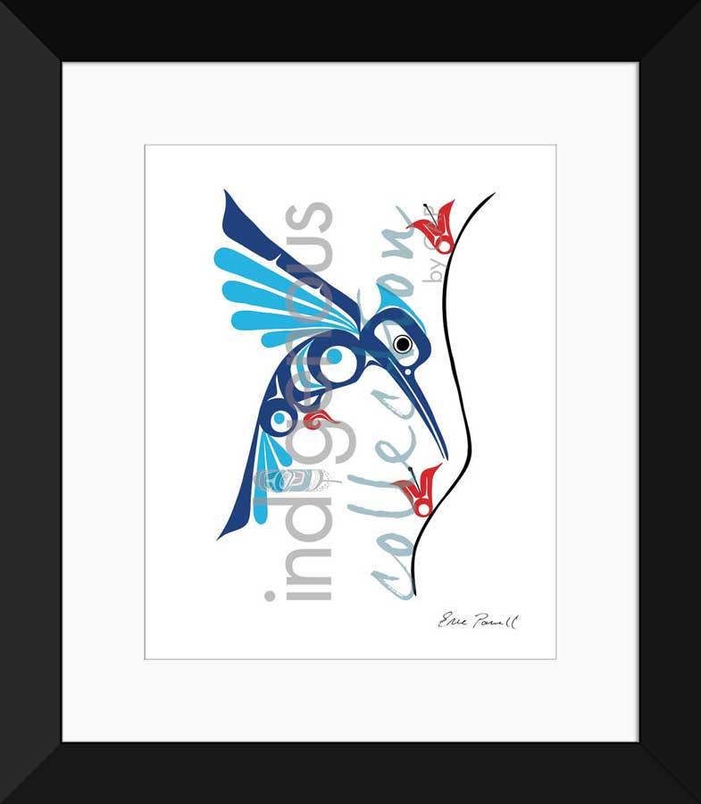 Hummingbird Limited Edition. Indigenous Collection