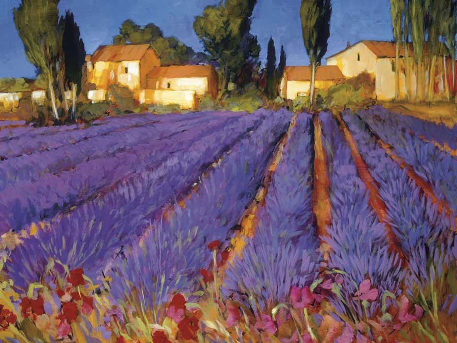 Late Afternoon, Lavender Fields by artist  Philip Craig