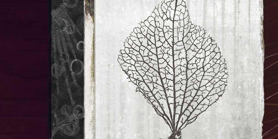 Coral I by artist  Noah Li-Leger