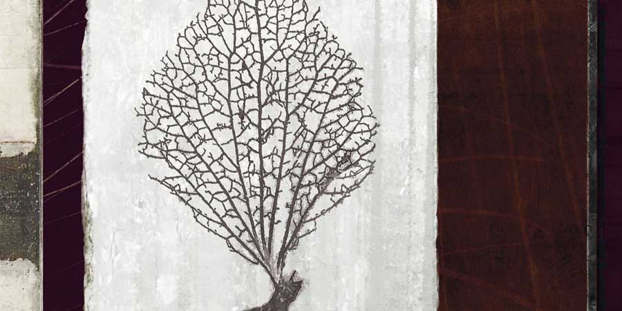 Coral II by artist  Noah Li-Leger