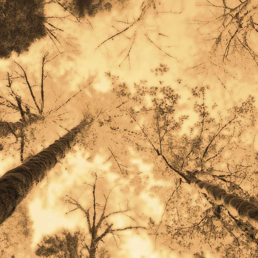 Epiphany I by artist  Marvin Pelkey