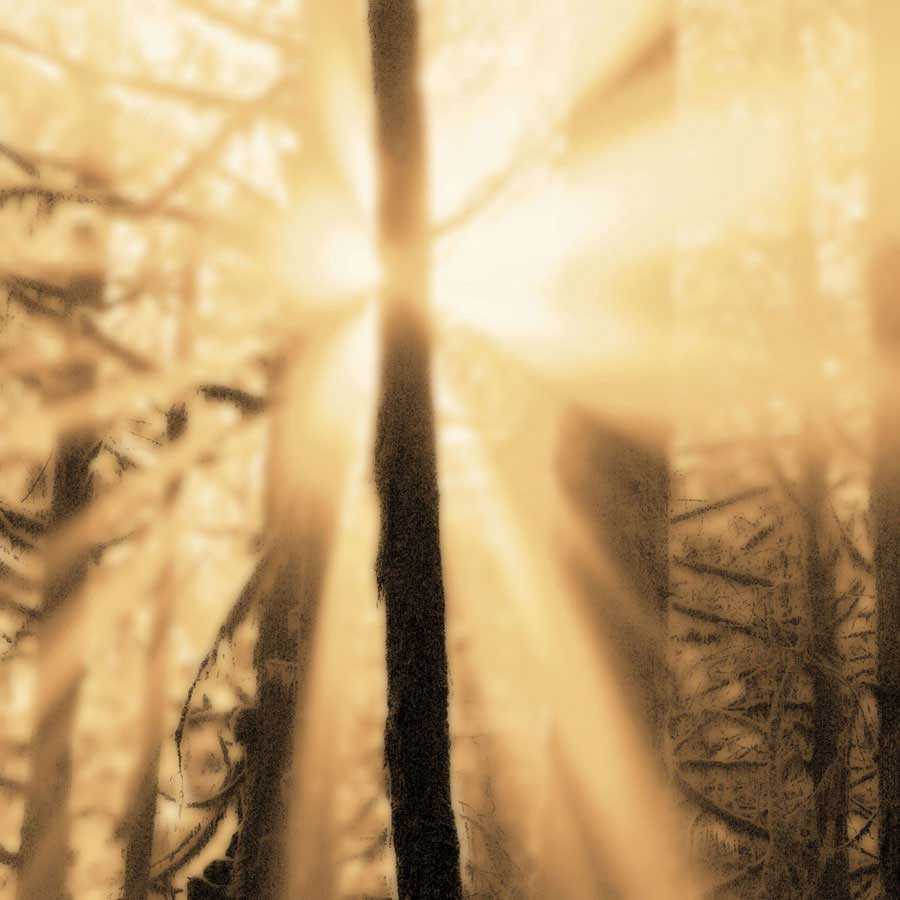 Epiphany II by artist  Marvin Pelkey