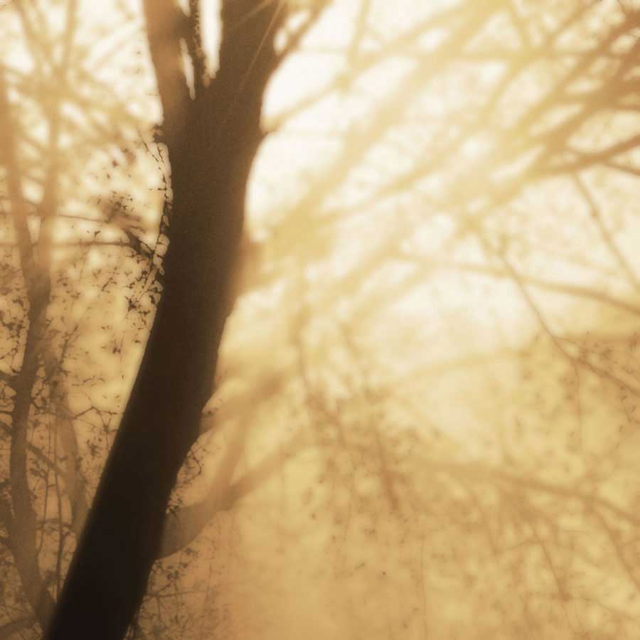 Epiphany III by artist  Marvin Pelkey