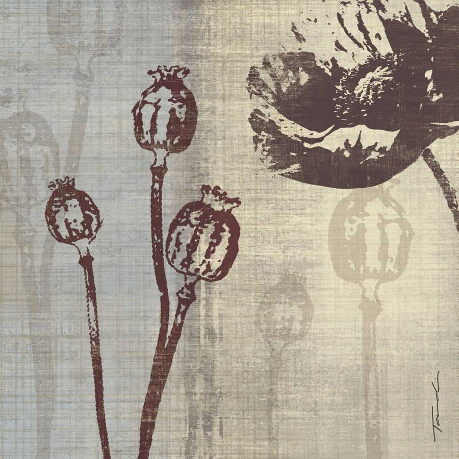 Chocolate Poppy by artist  Tandi Venter