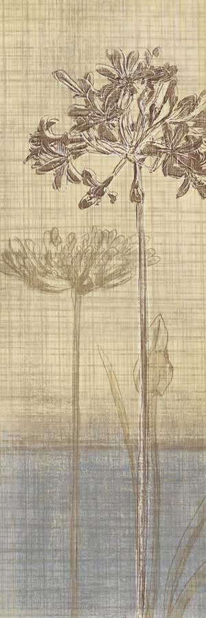 Botanical Sketchbook II by artist  Tandi Venter