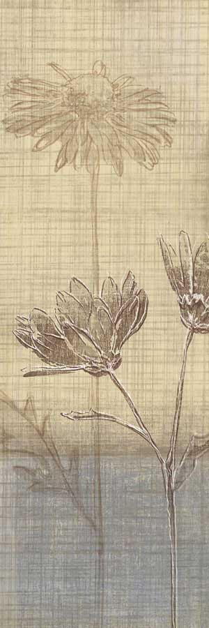 Botanical Sketchbook III by artist  Tandi Venter