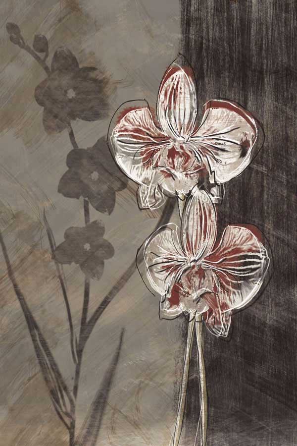 Orchid Sketch I by artist  Tandi Venter