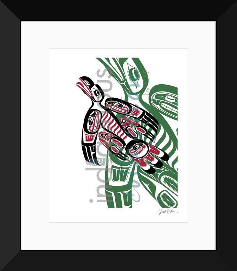 Raven Limited Edition. Indigenous Collection