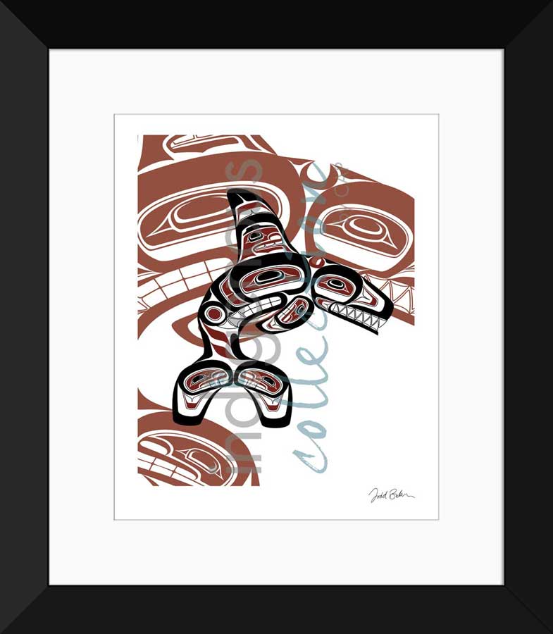 Orca Limited Edition. Indigenous Collection