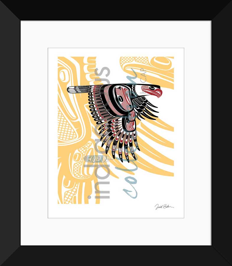 Eagle Limited Edition. Indigenous Collection