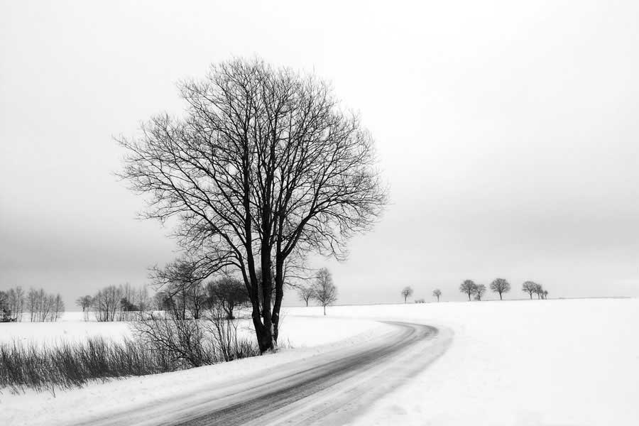 The Way Home by artist  Ily Szilagyi