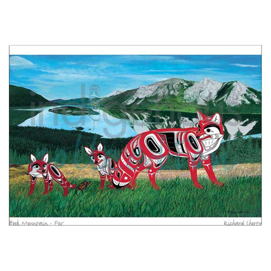 Book Mountain - Fox Canvas Prints