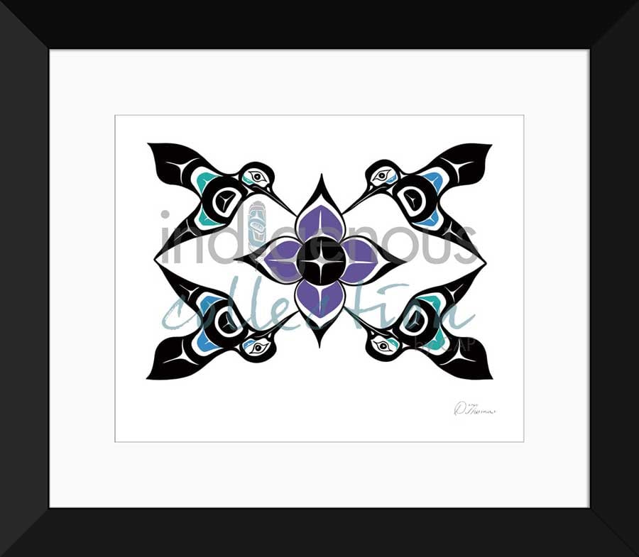 Hummingbirds Limited Edition. Indigenous Collection