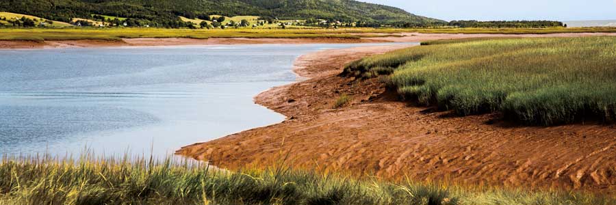 Shepody National Wildlife Area, Bay of Fundy, NB by artist Jeff Maihara