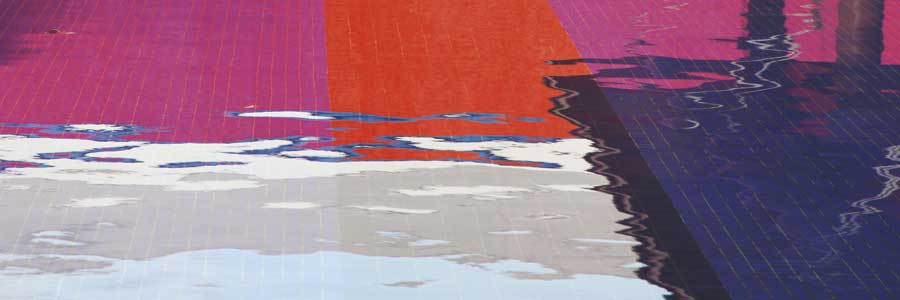 Vibrance by artist  Michael Toole