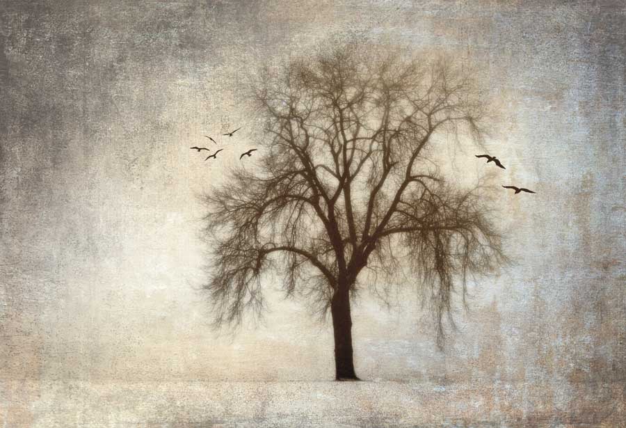 Treehouse by artist  Ily Szilagyi