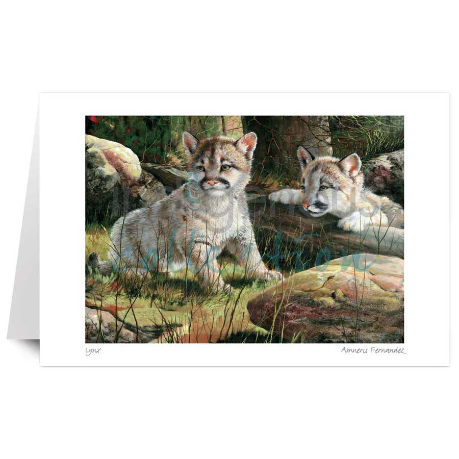Lynx by artist Amneris Fernandez