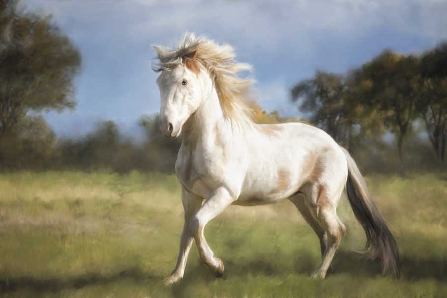 Liberty Dance by artist  Wendy Caro