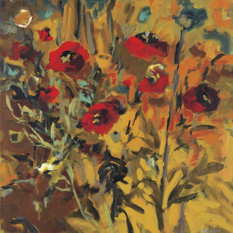 Wild Poppies by artist  Jennifer Harwood