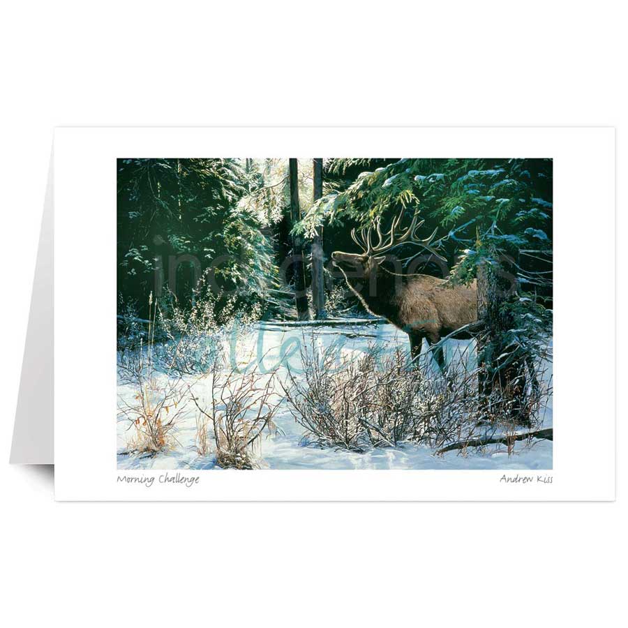 Morning Challenge by artist Andrew Kiss